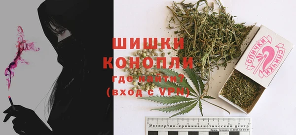спайс Нея
