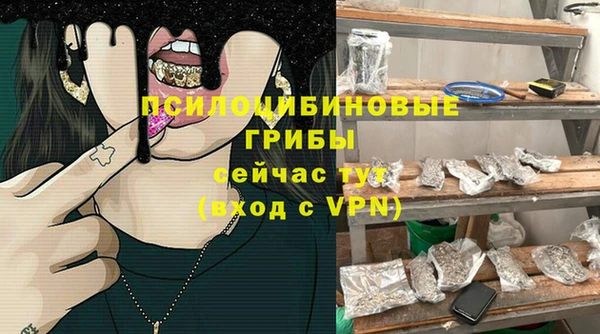 спайс Нея