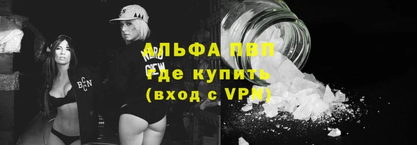 спайс Нея