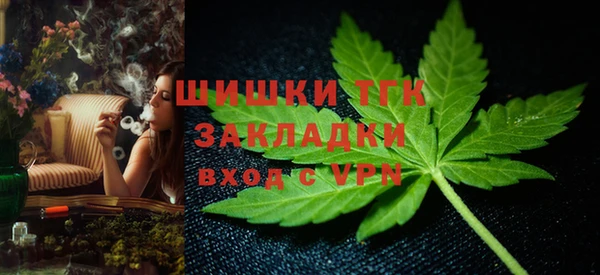 спайс Нея