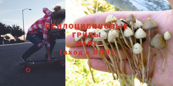 спайс Нея