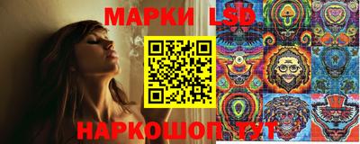 шишки Жуковский