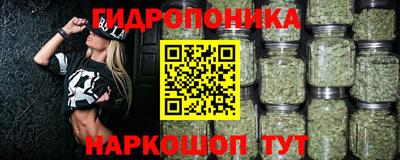 шишки Жуковский