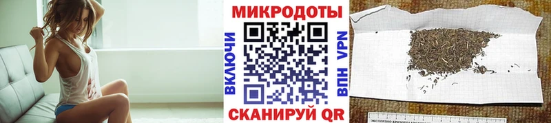 закладка  Печора  Галлюциногенные грибы мицелий 
