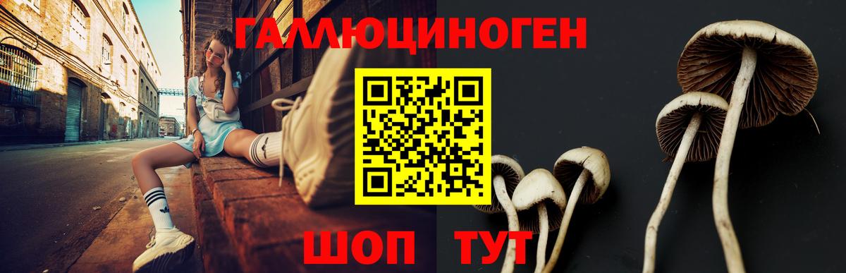 Галлюциногенные грибы MAGIC MUSHROOMS  Вход с VPN  Печора  Галлюциногенные грибы Cubensis 